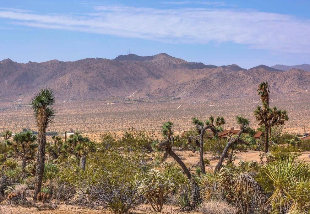 Jt Cottage Yucca Valley Exteriér fotografie